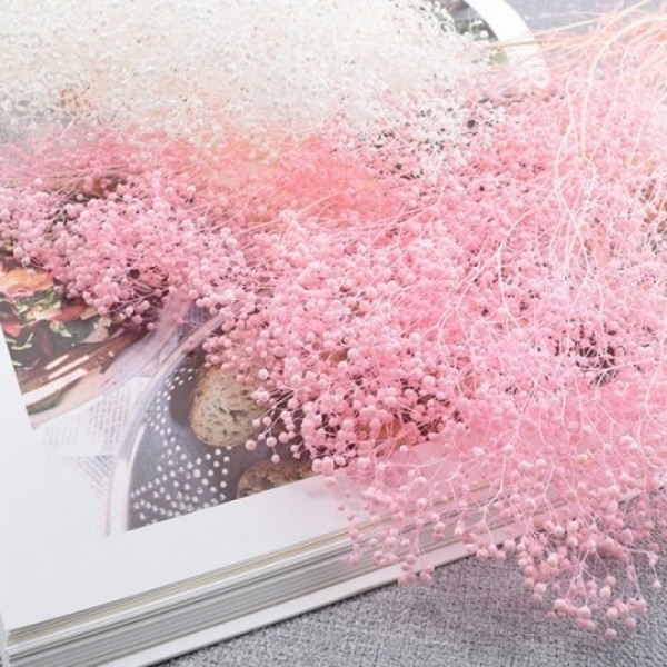 일본 프리저브드 안개꽃 드라이플라워