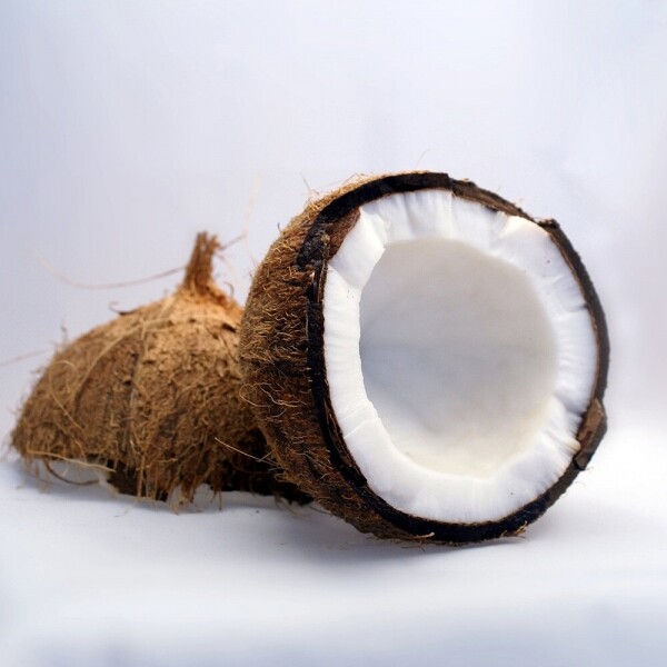 코코넛 프래그런스오일 국내산